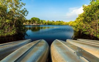 Canoes at a nature preserve in Southwest Florida.