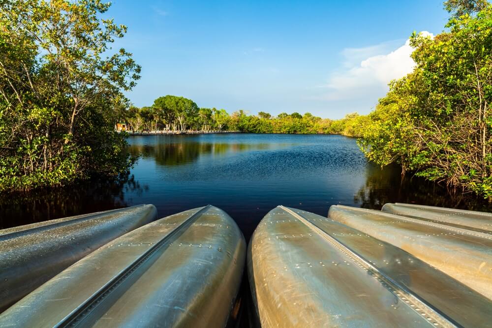 Canoes at a nature preserve in Southwest Florida.